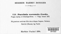 Puccinia coronata image
